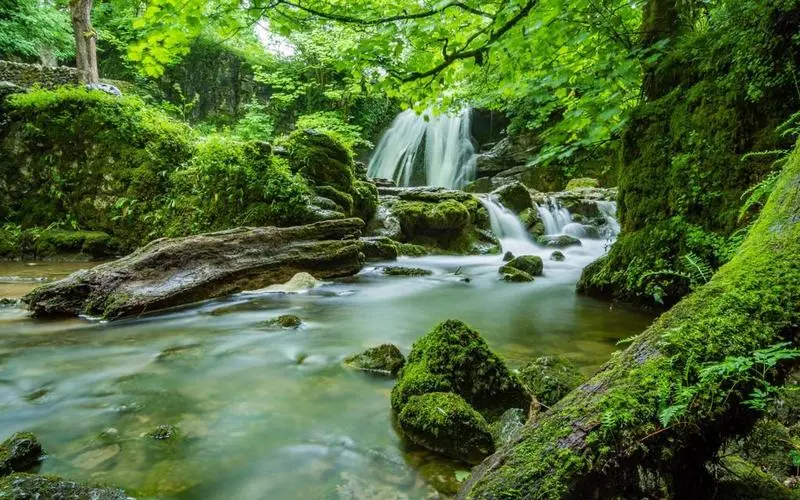 精密高效高标准